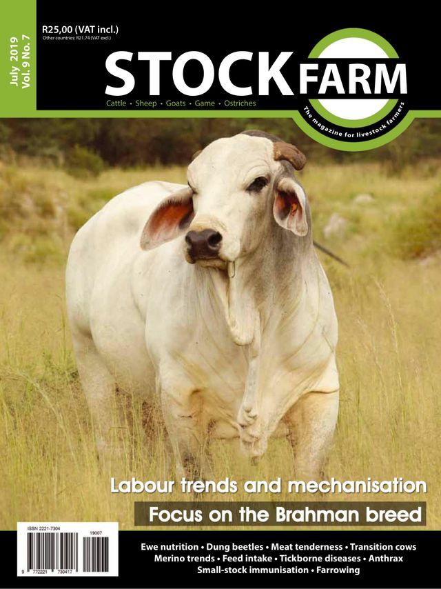 Stockfarm