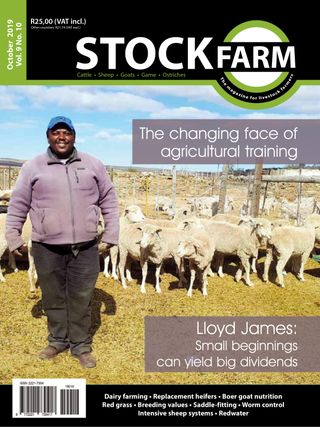 Stockfarm