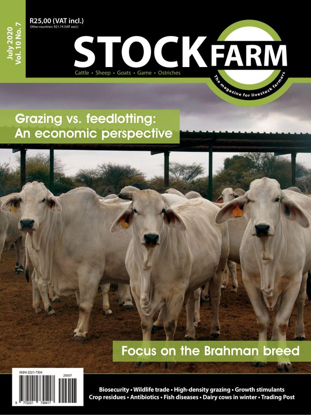 Stockfarm