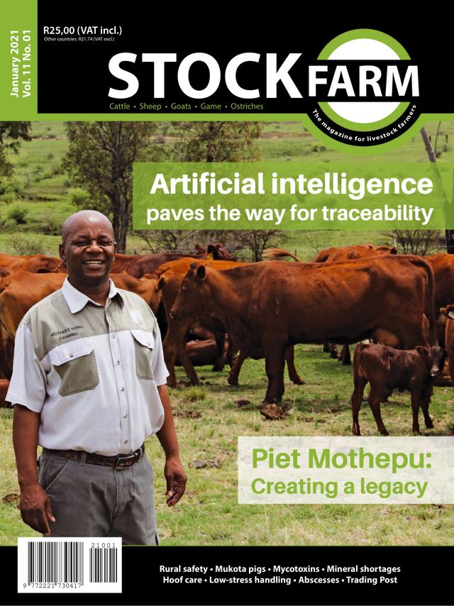 Stockfarm