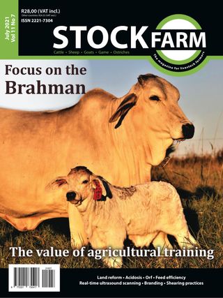 Stockfarm