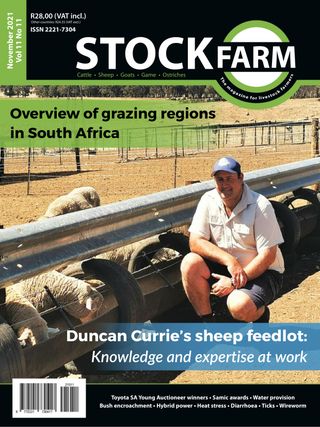 Stockfarm Magazine - May 2025 Stockfarm Magazine Cover - May 2025 Edition