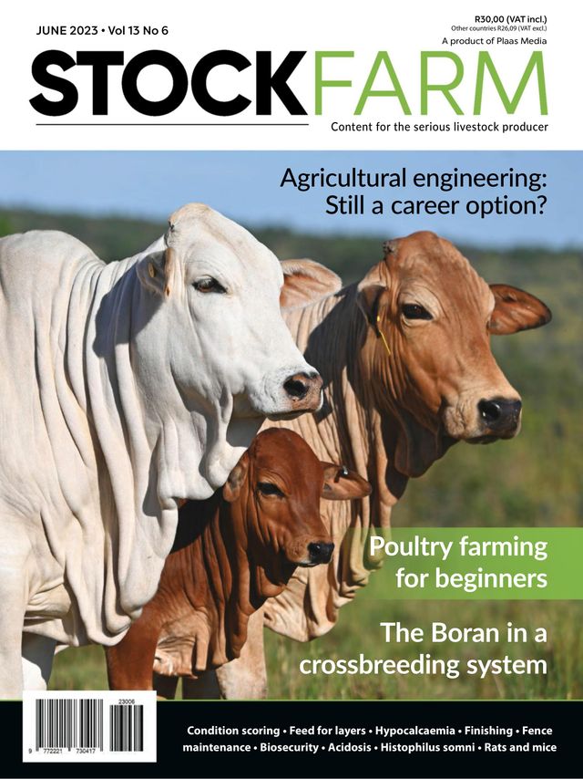 Stockfarm