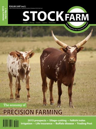 Stockfarm Magazine - May 2025 Stockfarm Magazine Cover - May 2025 Edition