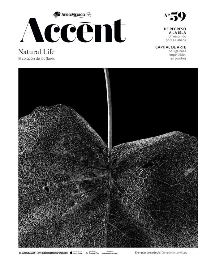 Accent