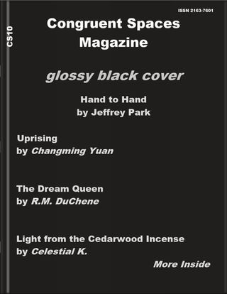 Congruent Spaces Magazine - Issue 10: glossy black cover Congruent Spaces Magazine Cover - Issue 10: glossy black cover Edition