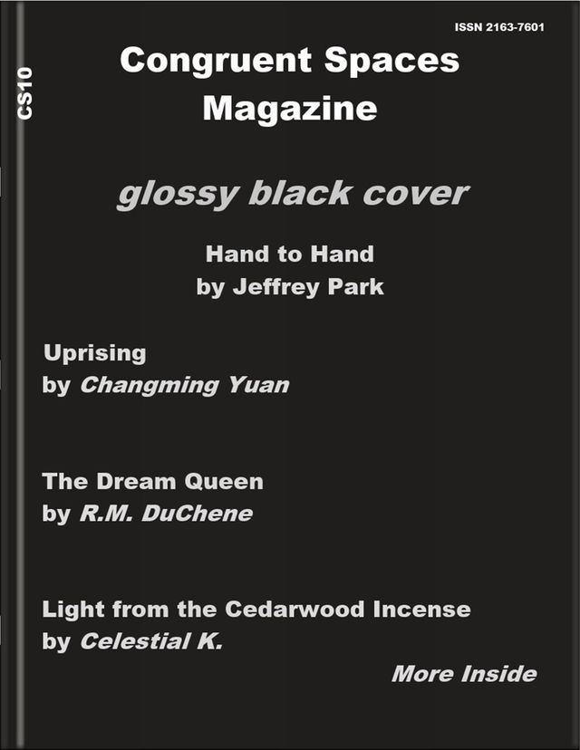 Congruent Spaces Magazine