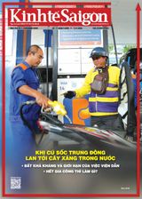 Thời Báo Kinh Tế Sài Gòn