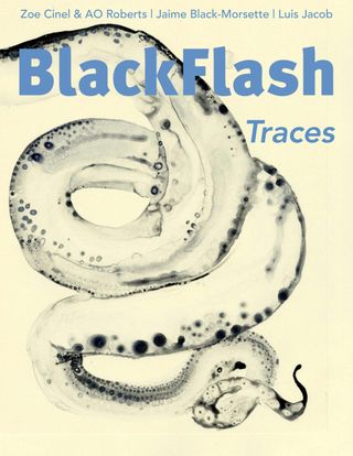BlackFlash Magazine - 42.1 - Traces BlackFlash Magazine Cover - 42.1 - Traces Edition