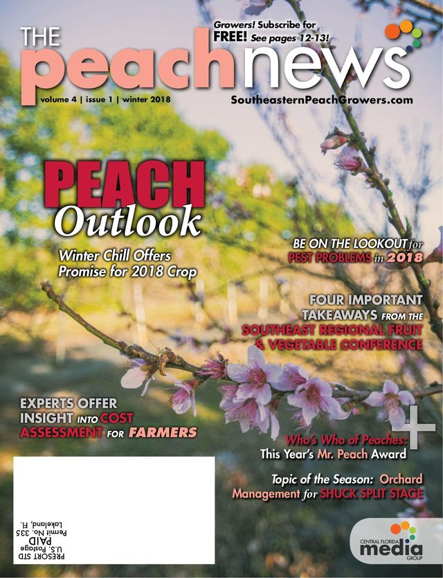 The Peach News