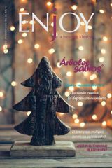 Noviembre-Diciembre 2016
