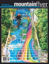 Issue 51