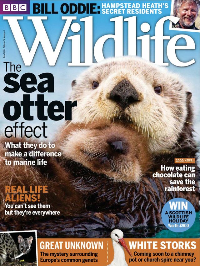 Magzter GOLDで無制限に