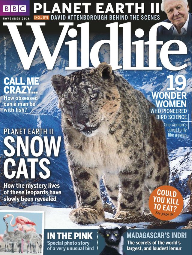 Gå ubegrenset med Magzter GOLD