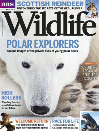 BBC Wildlife