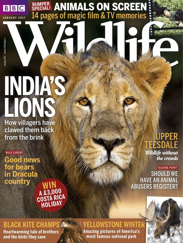 Gå ubegrenset med Magzter GOLD