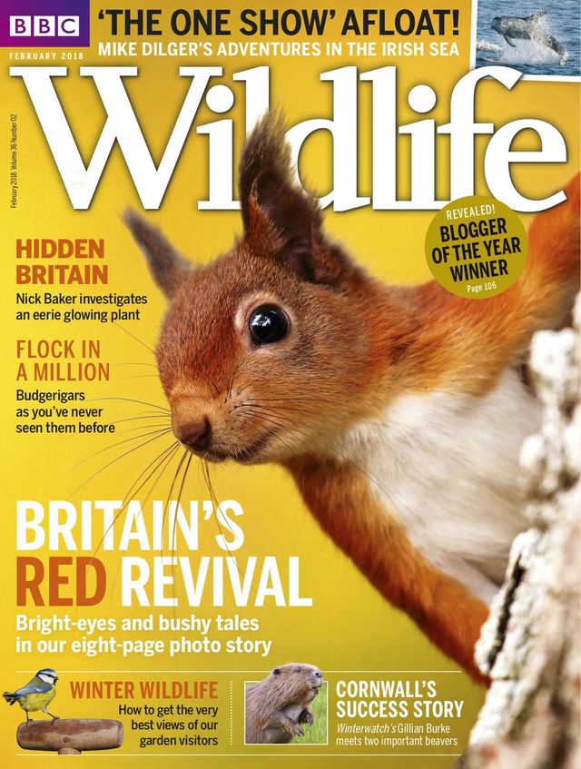 Gå ubegrenset med Magzter GOLD