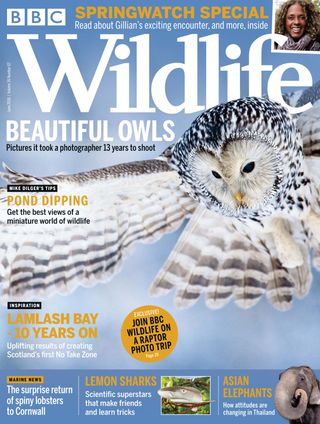 BBC Wildlife