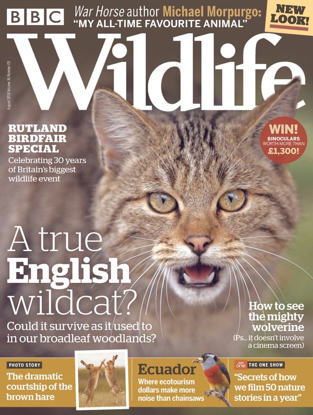 Gå ubegrenset med Magzter GOLD