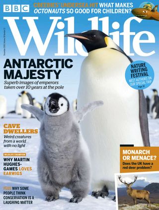 BBC Wildlife