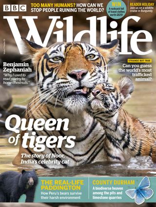 BBC Wildlife
