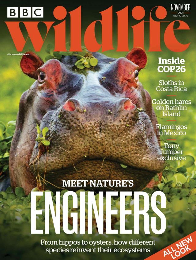 Ga onbeperkt met Magzter GOLD