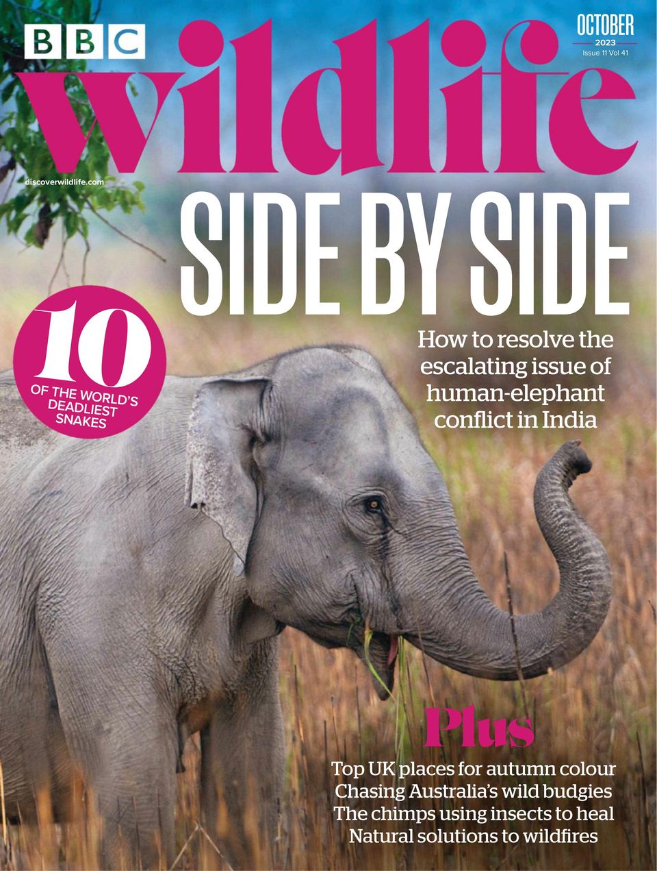 BBC Wildlife October 2023