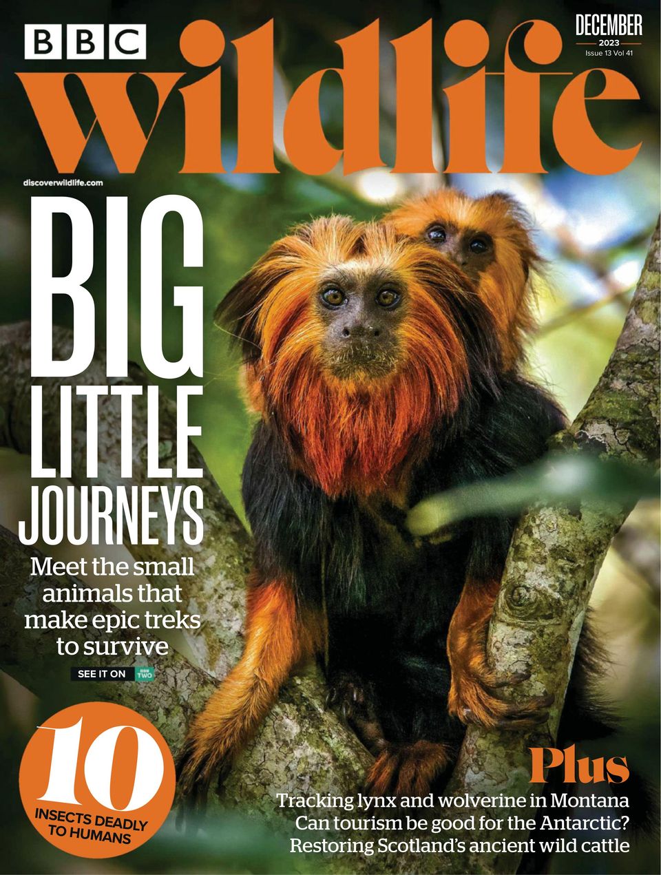 BBC Wildlife December 2023