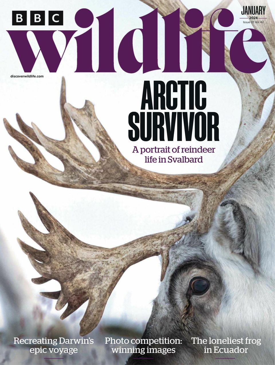 BBC Wildlife January 2024