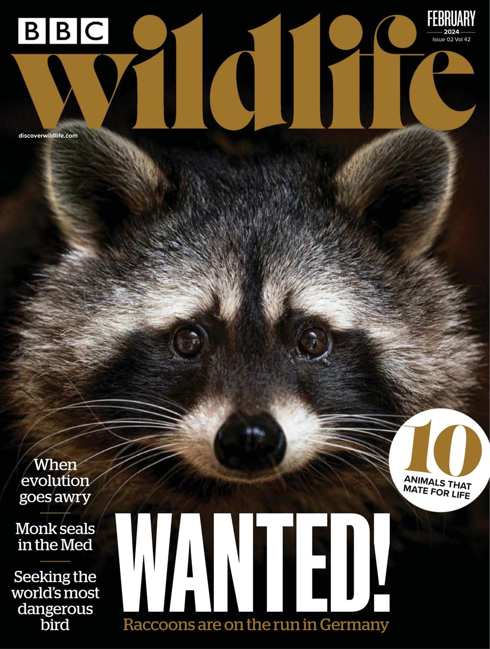 BBC Wildlife February 2024