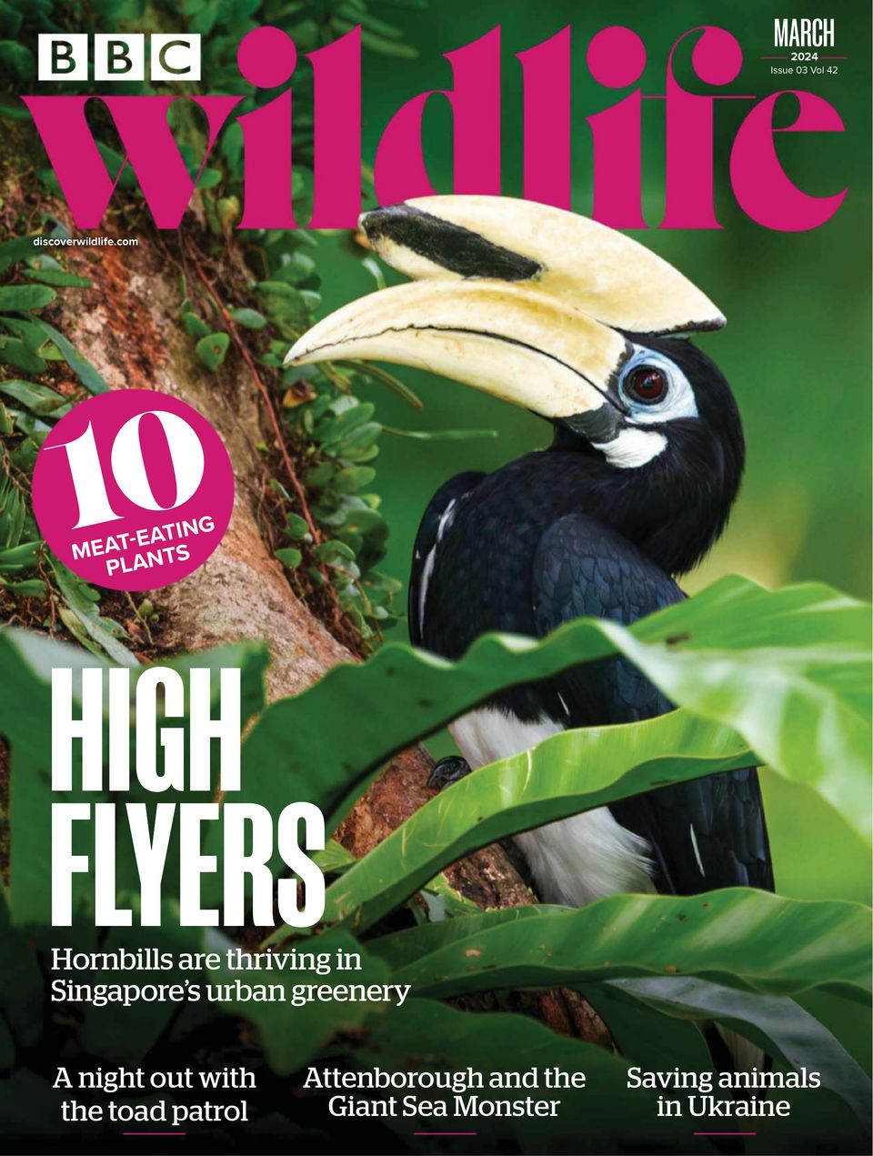 BBC Wildlife March 2024