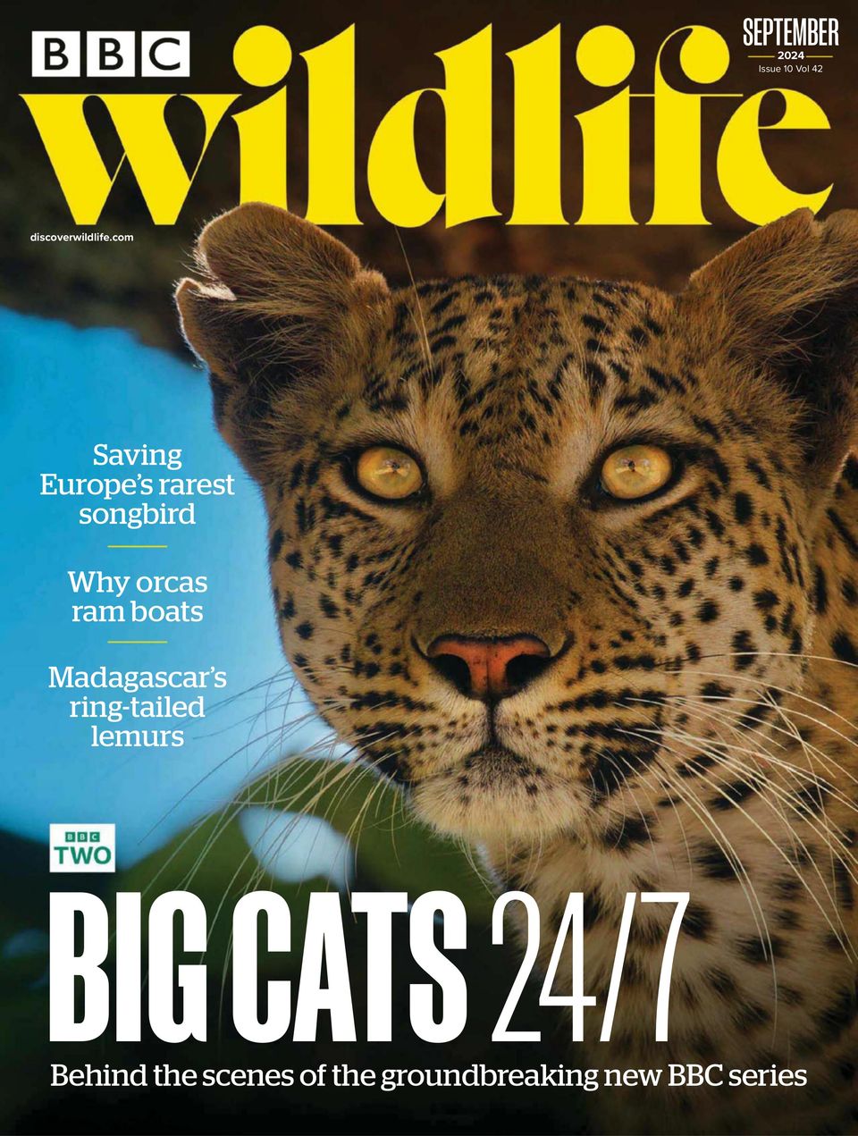 BBC Wildlife September 2024