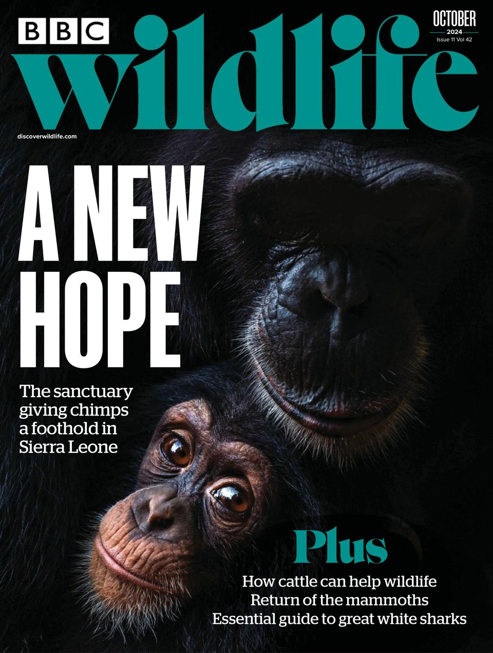 BBC Wildlife October 2024