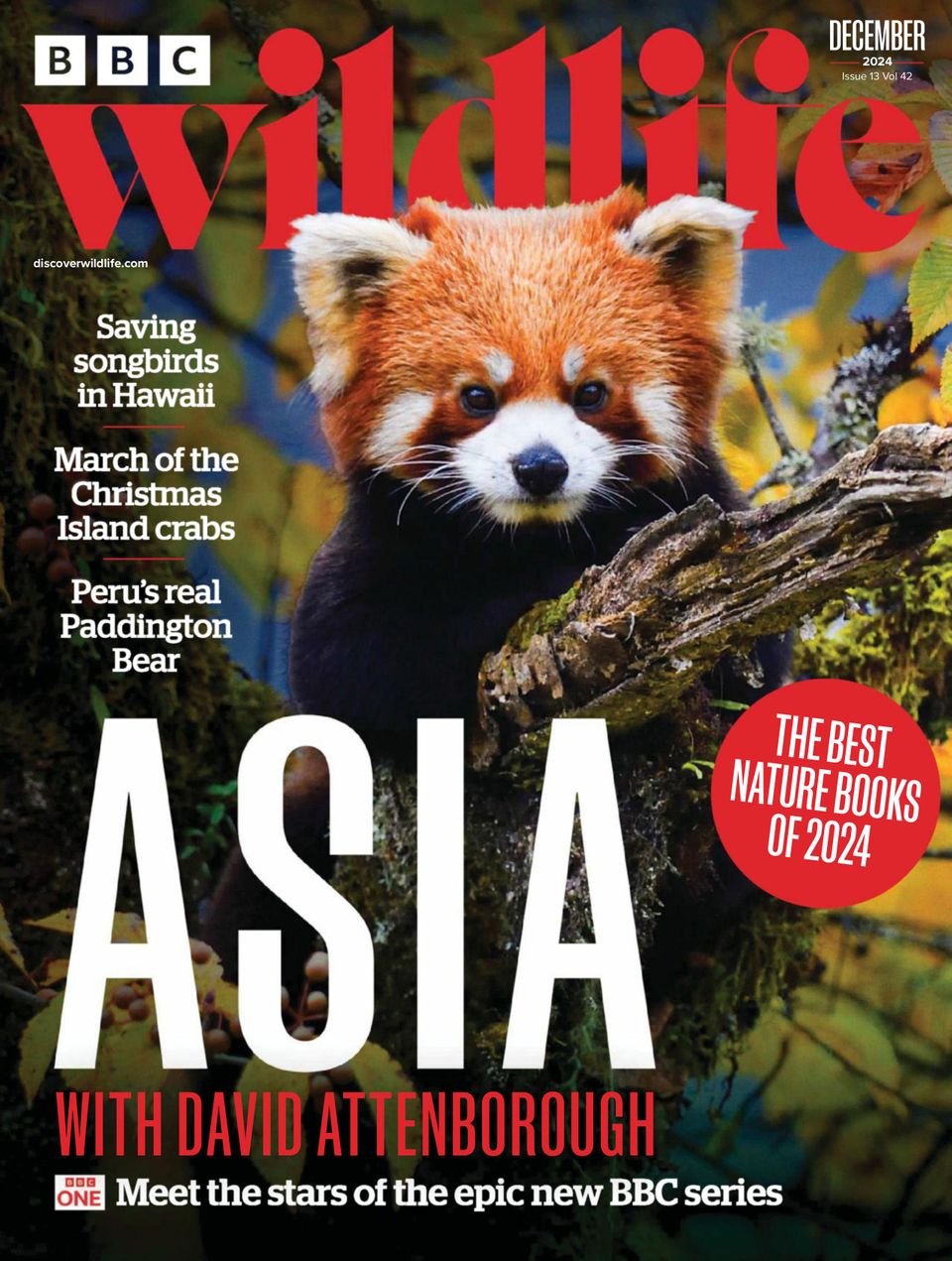 BBC Wildlife December 2024