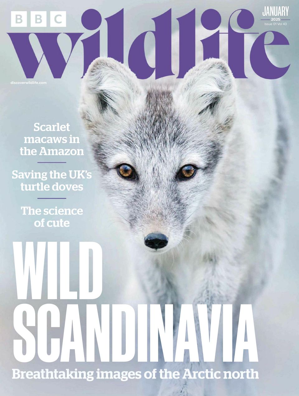BBC Wildlife January 2025