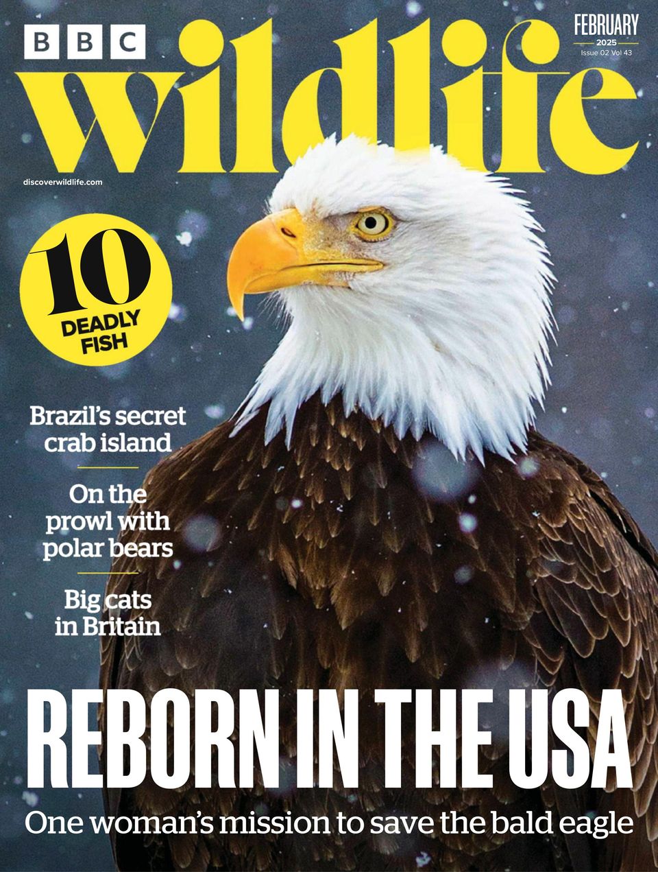 BBC Wildlife February 2025