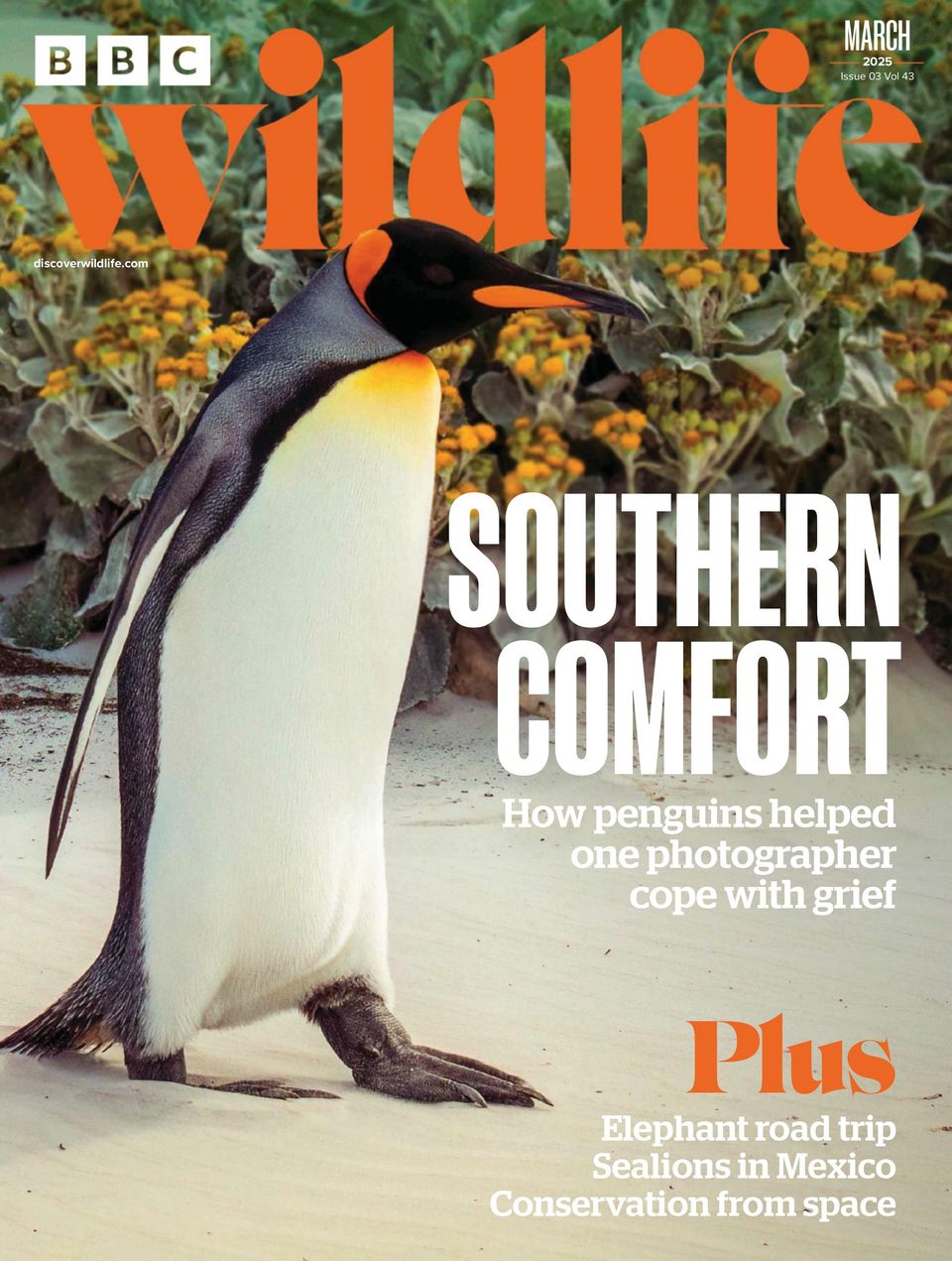 BBC Wildlife March 2025