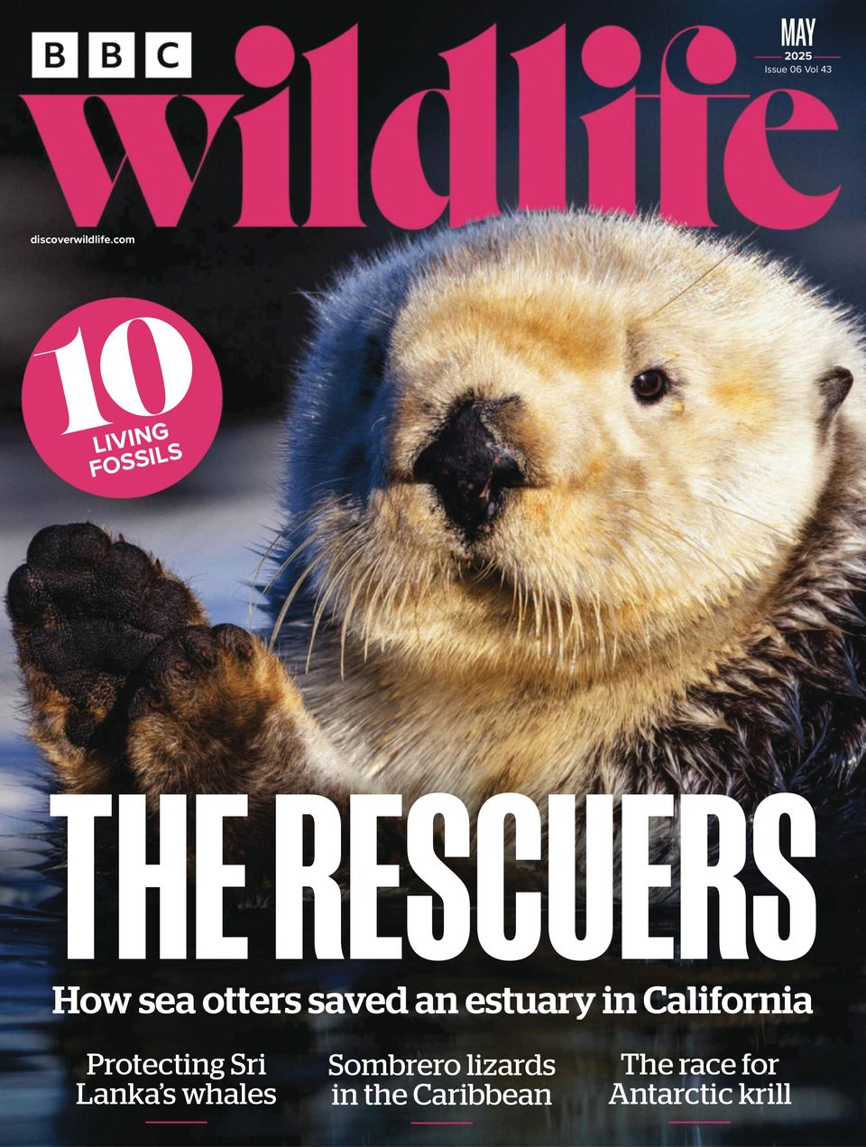 BBC Wildlife