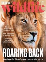 BBC Wildlife