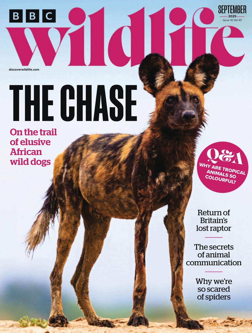 BBC Wildlife September 2025