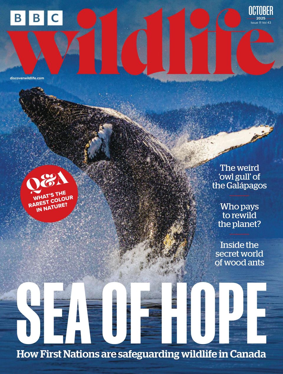BBC Wildlife October 2025