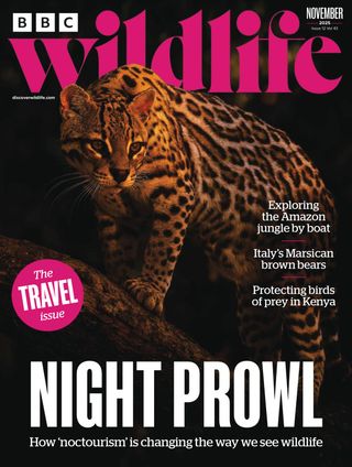 BBC Wildlife