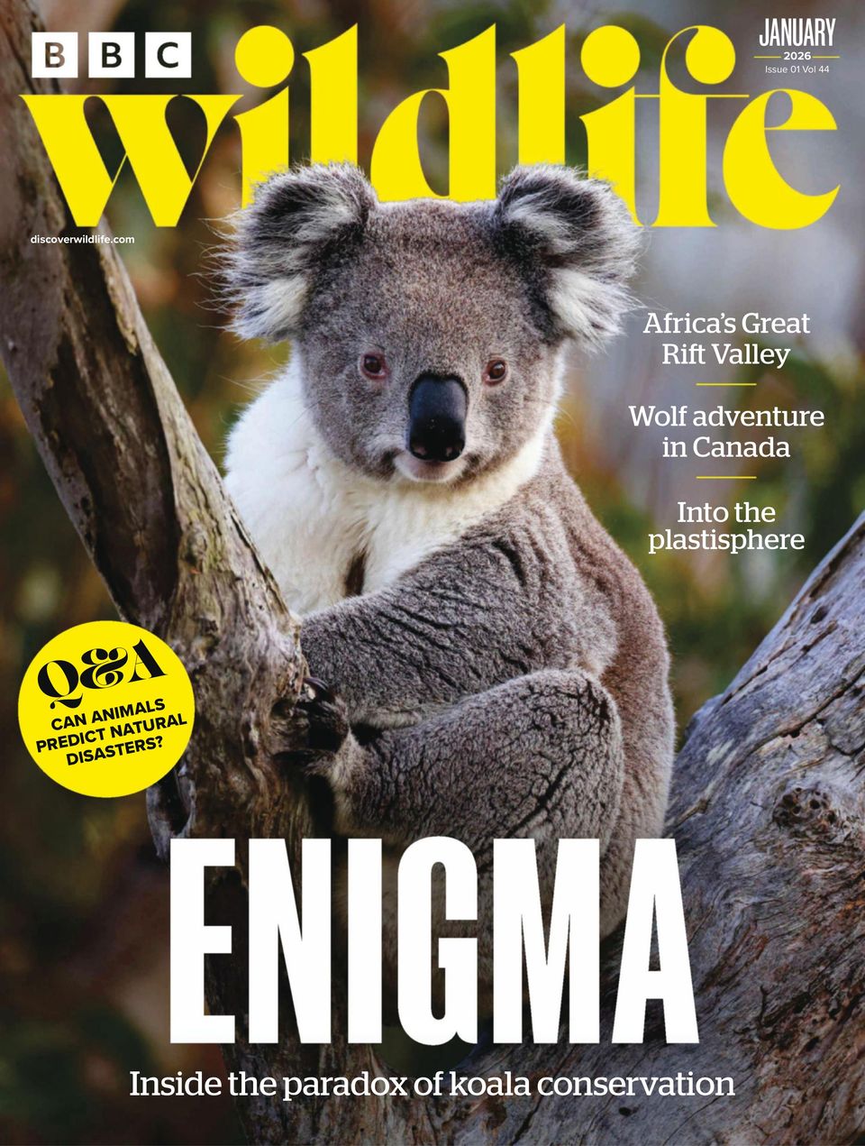 BBC Wildlife