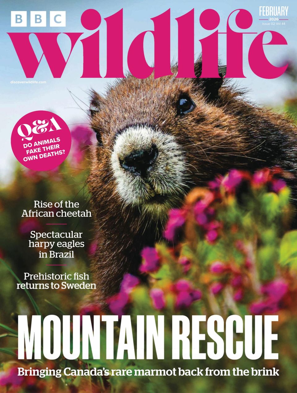 BBC Wildlife February 2026