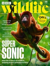 BBC Wildlife