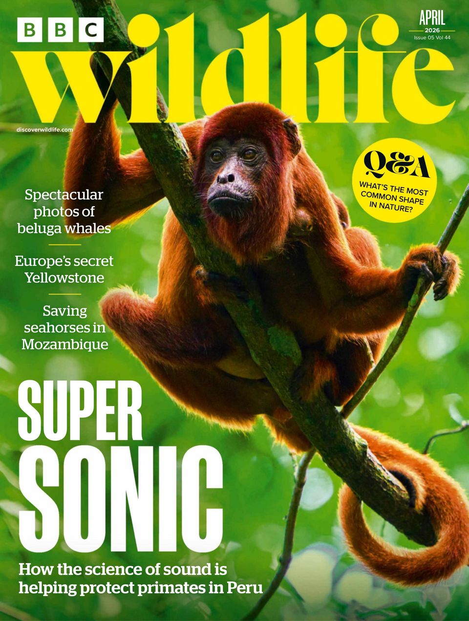 BBC Wildlife