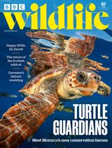 BBC Wildlife