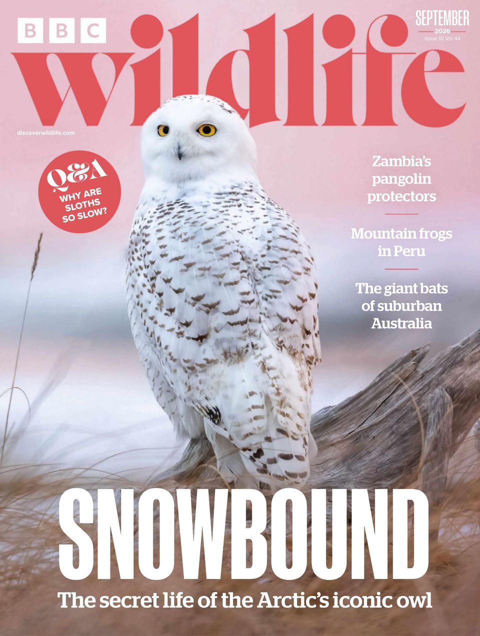 BBC Wildlife