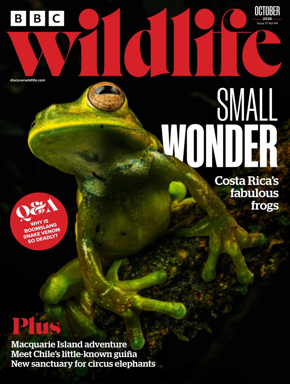 BBC Wildlife