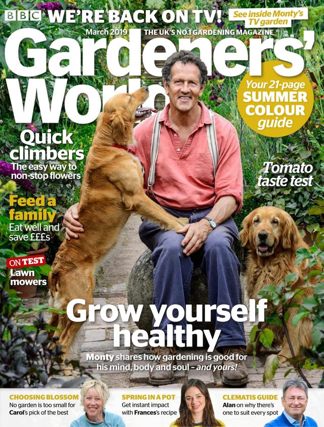 Go Unlimited with Magzter GOLD